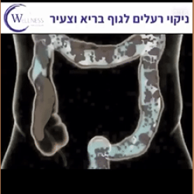 הידרוקולוניק